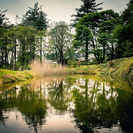 Hotel Gellifawr Woodland Retreat Pontfaen Exterior foto