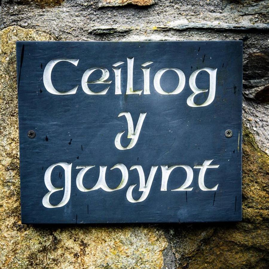 Hotel Gellifawr Woodland Retreat Pontfaen Exterior foto